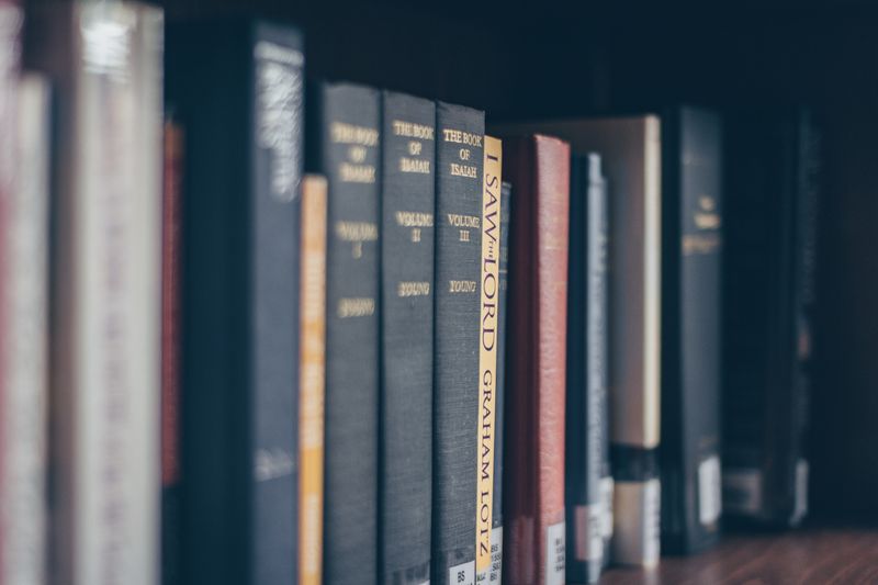 Shelves of books in the school library